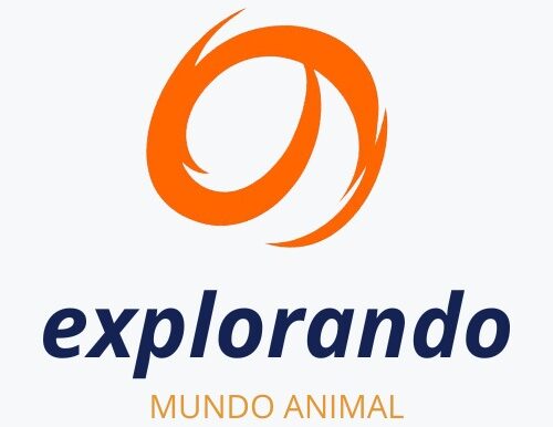 EXPLORANDO MUNDO ANIMAL